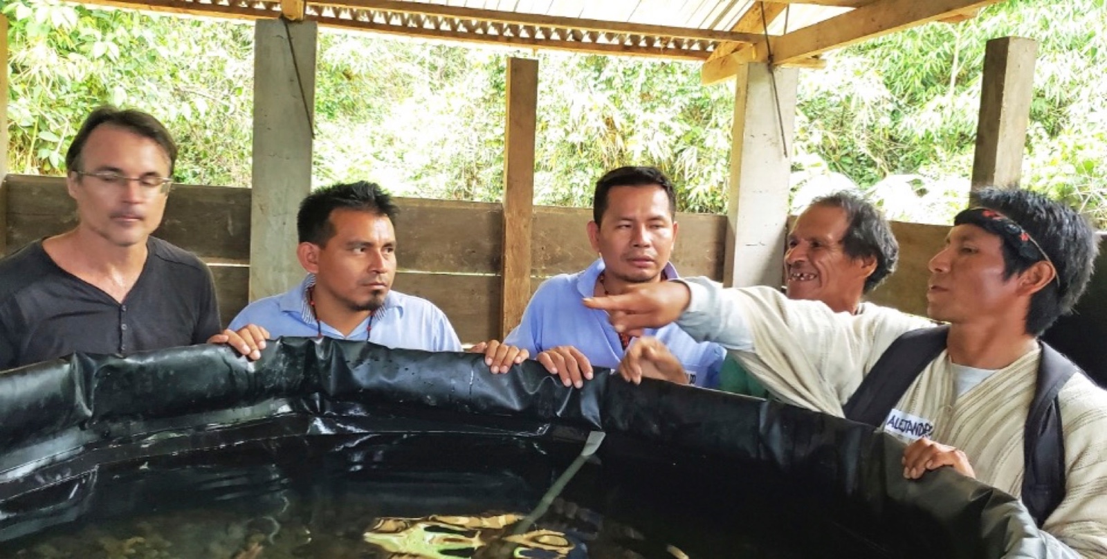 rainforest-flow (1).jpeg