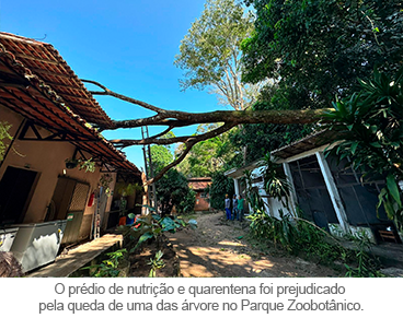 img-interna-notícia fechamento parque 02.png