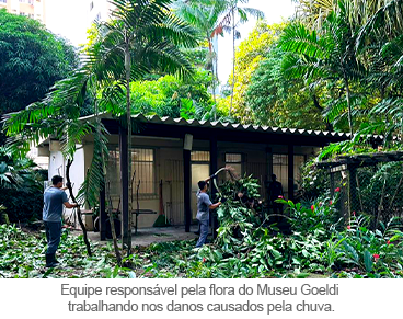 img-interna-notícia fechamento parque.png