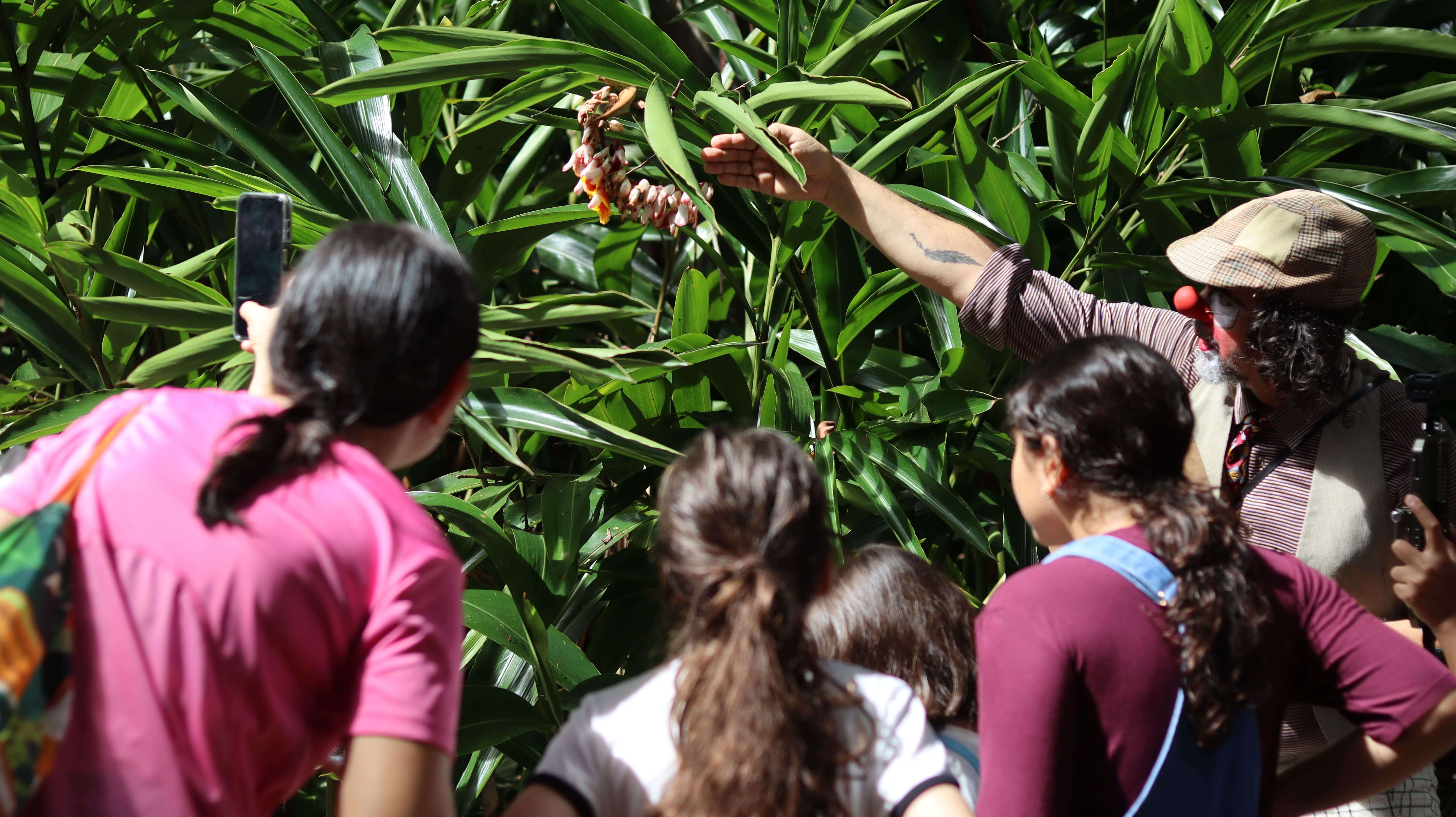 Palhaço mostra uma flor com abelha para três crianças e uma adulta que estão de costas