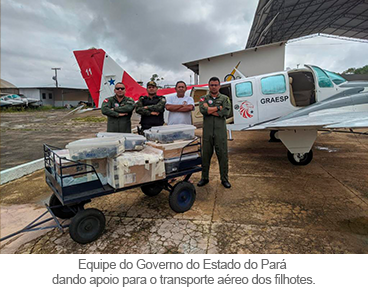 imagem interna notícia quelônios