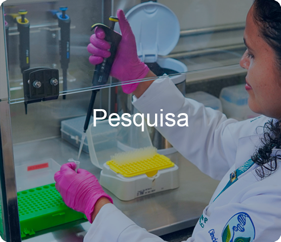 pesquisa.png