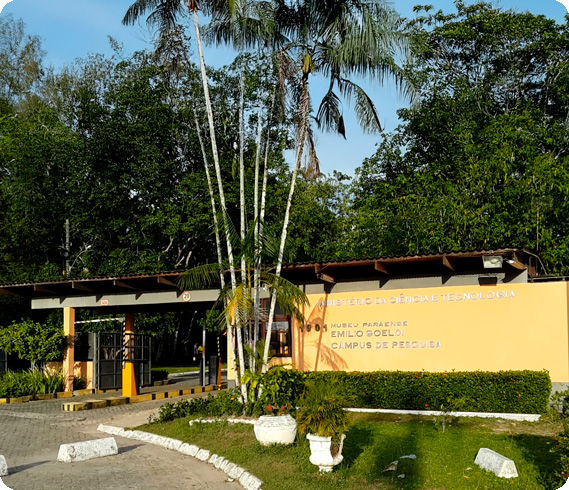 Imagem ilustrativa do campus de pesquisa do Museu Goeldi