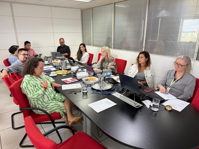 Comitê Gestor do Ibram - imagem notícia.jpeg