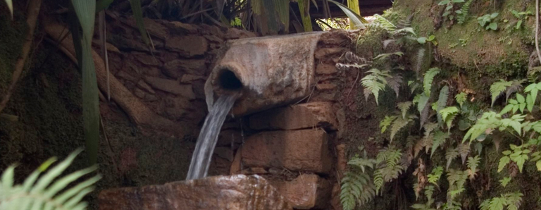 Museu Casa dos Ottoni reabre jardim e bosque para a visitação
