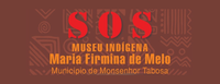 Ibram apoia reconstrução de museu indígena destruído por chuvas no CE