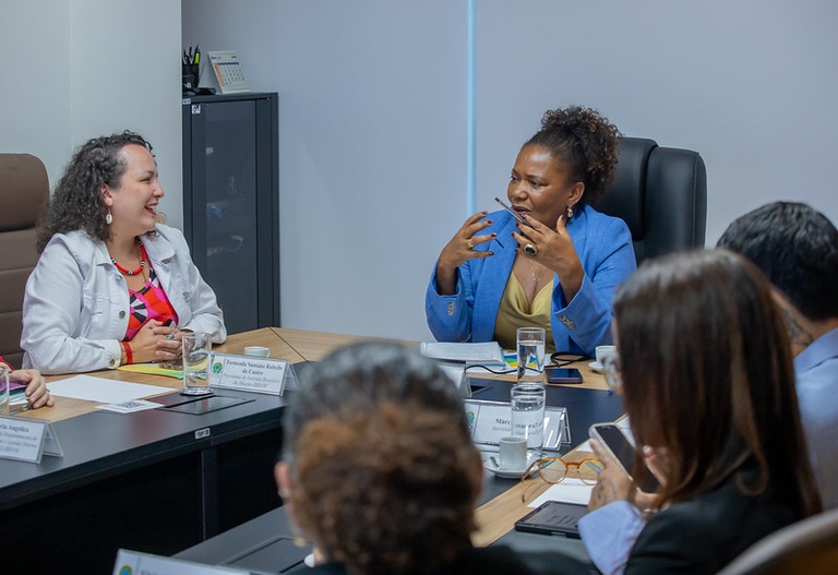 Foto para matéria - Ibram intensifica articulação institucional e debate sobre políticas museais .jpg
