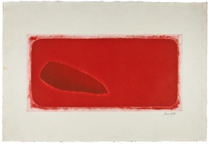 Foto MNBA abre retrospectiva da artista Anna Letycia com mais de 80 gravuras.jpg