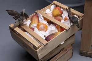 Taxidermia na arte é um dos temas de exposição no Museu Victor Meirelles.jpg