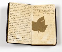 Memoria do Mundo 2.jpg