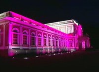 Museus e espaços culturais podem participar do Movimento Outubro Rosa