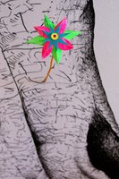 Museu da República inaugura duas mostras nesta terça (8)