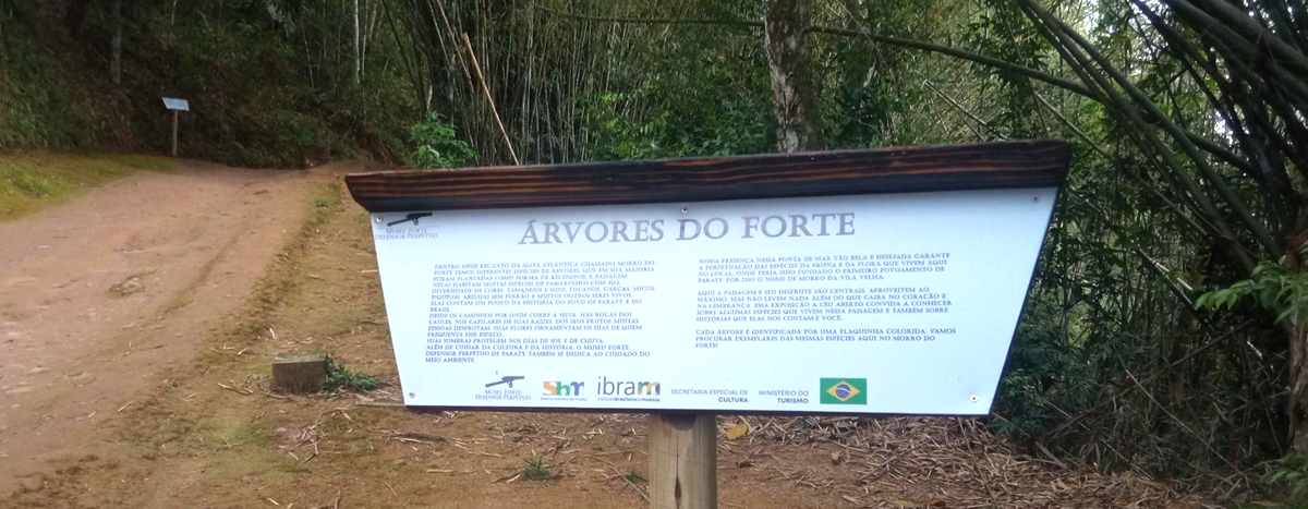 Em 2022, o Museu do Forte inaugura uma nova exposição, a céu aberto, que acompanha todo o trajeto de visitação. Desde a entrada pela trilha que dá acesso ao Museu, até o pátio central onde ficam as edificações. Em todo o caminho aberto a visitação há 19 espécies de árvores sinalizadas, com informações sobre seus usos e aspectos gerais.