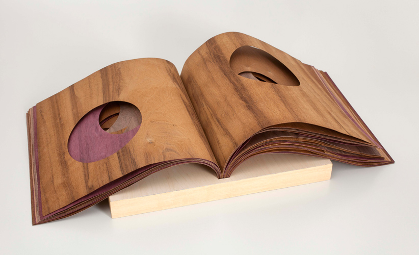 Lucia Mindlin Loeb, Sem título, 2000