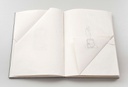 Nicolás Páris, Doble Faz, 2008