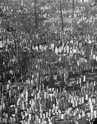 Andreas Feininger, Cemitério judaico em Queens, 1941