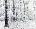 Alemanha. Um conto de fadas do inverno, 1996/98
