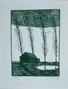 Abrigo no pântano, 1962