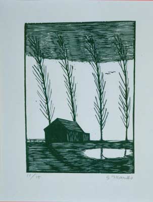 Abrigo no pântano, 1962