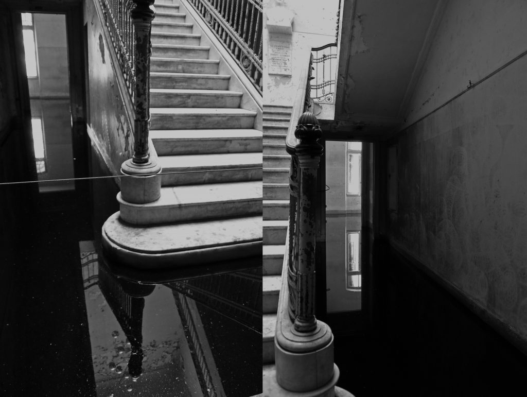 Rosa Esteves. A casa de minha tia, 2014/2018