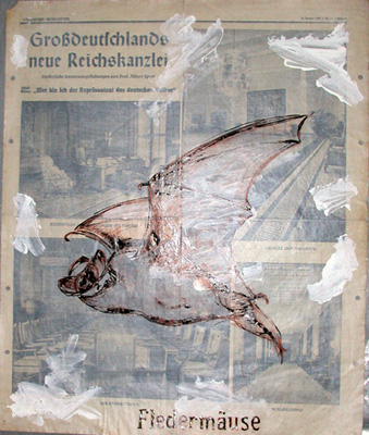 Fledermäuse (Morcegos)