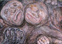 Euforia, preto e branco, 1977