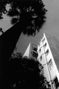 Pulmão da Rua, 1931