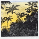 Amanhecer na floresta, 1996