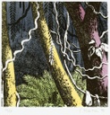 Floresta escura, 1996