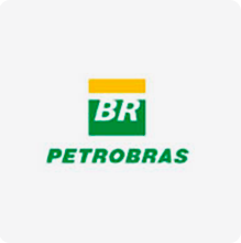 Visão da Logomarca da Petrobrás