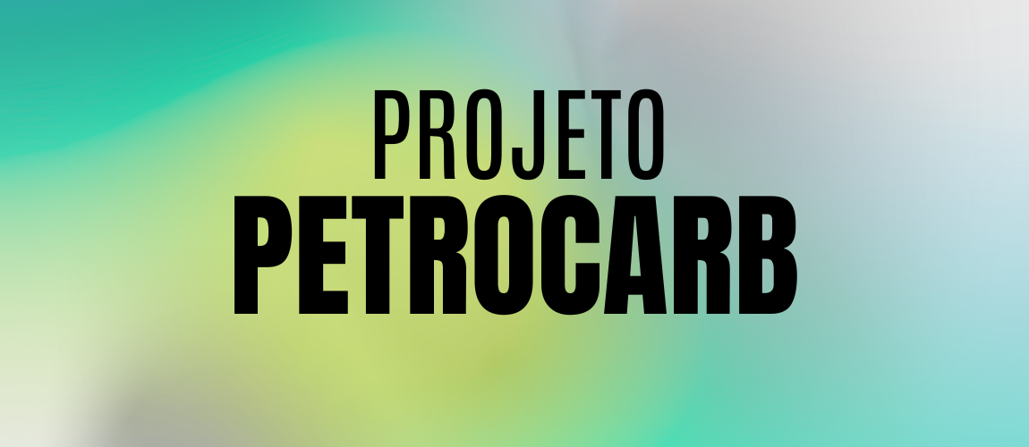 Workshop projeto PETROCARB