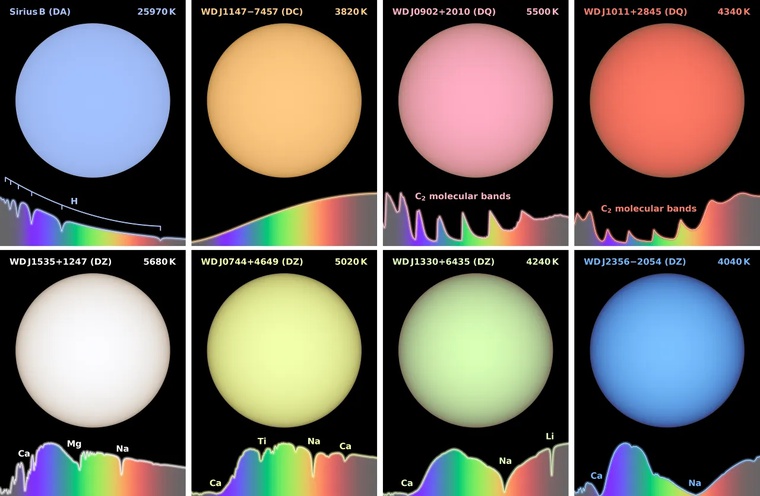 Imagens simuladas com precisão de cor de anãs brancas. Imagens superiores à esquerda: Sirius B é a anã branca mais próxima do Sistema Solar. Sua atmosfera quente de hidrogênio lhe confere uma cor azul pálido. Em contrapartida, a WD J1147-7449 está entre as anãs brancas mais frias da vizinhança, apresentando um espectro sem feições e uma aparência alaranjada. Imagens superiores à direita: Nas camadas de convecção dessas anãs brancas frias, o carbono é dragado do núcleo para suas densas atmosferas dominadas por hélio. Isso forma moléculas de carbono diatômico, resultando em diferentes tons de rosa. Imagens inferiores: A atração de detritos rochosos de sistemas planetários ao redor das anãs brancas enriquece suas frias atmosferas de hélio com elementos como cálcio, magnésio e sódio. As variações na quantidade e na composição do material absorvido, somadas às diferentes temperaturas das anãs brancas, geram uma ampla variedade de cores, incluindo o verde. Na realidade, todas as estrelas seriam milhões de vezes mais brilhantes do que o que pode ser exibido em uma tela. Fonte: Mark A. Garlick/Universidade de Warwick.