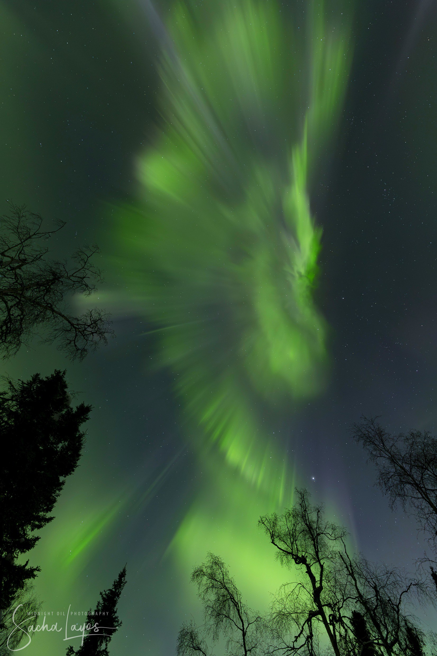 Aurora decorrente da EMC do dia 18 de Janeiro, fotografada por Sacha Layos em 20 de Janeiro de Fairbanks, EUA. Fonte: Sacha Layos e SpaceWeather.com.
