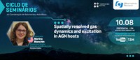 Seminário da Astronomia do ON: Spatially resolved gas dynamics and excitation in AGN hosts