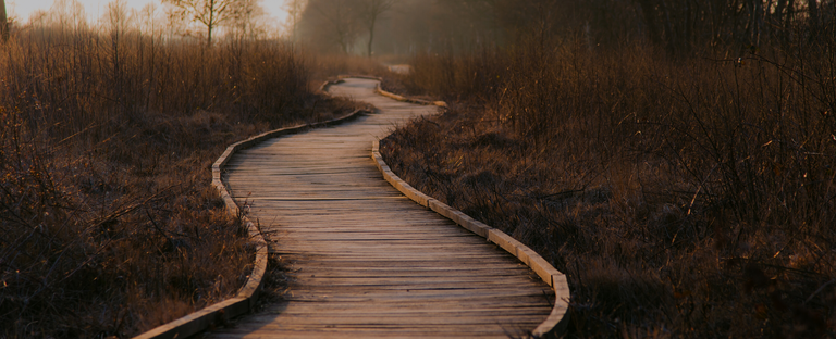 Destaque notícia Enunciado.png