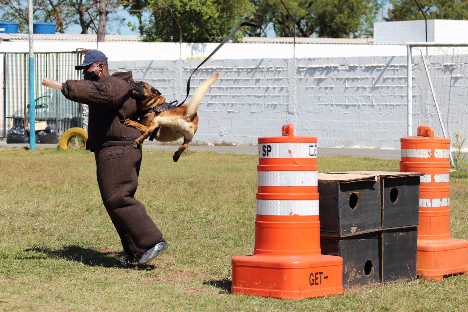 147 - Pega Totó.JPG