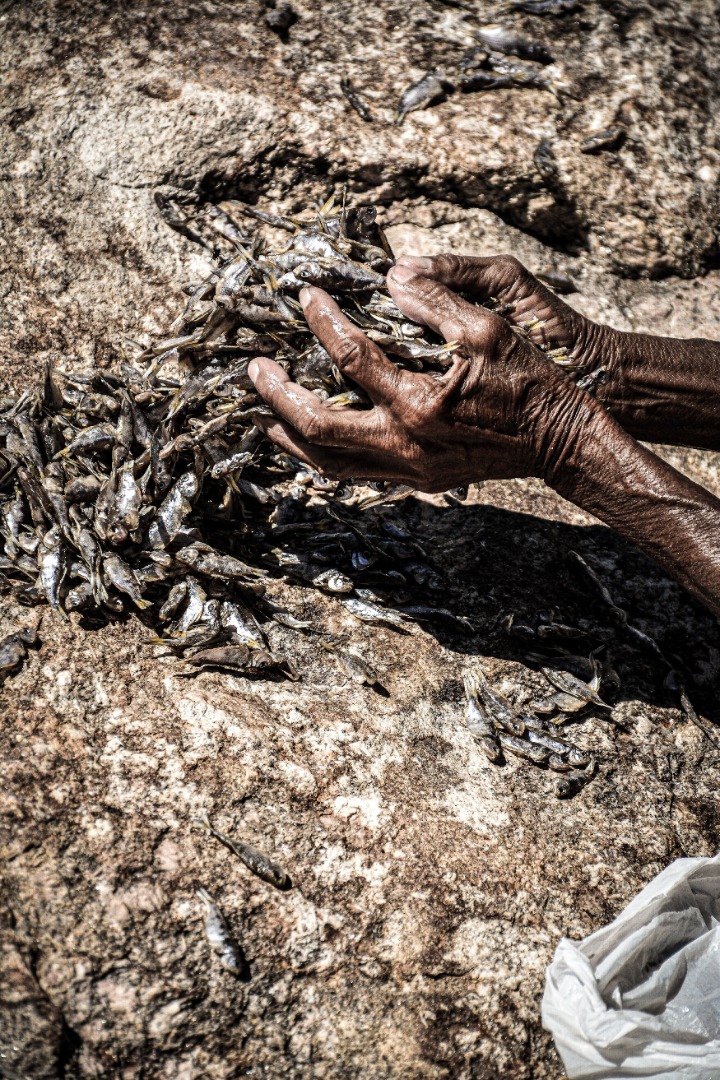 87 - Eu ainda não morri.jpg