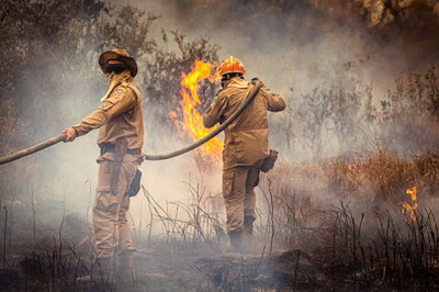 337 - MB - Labaredas de fogo no pantanal.jpg