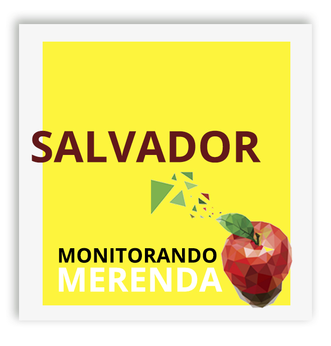 Monitorando Salvador