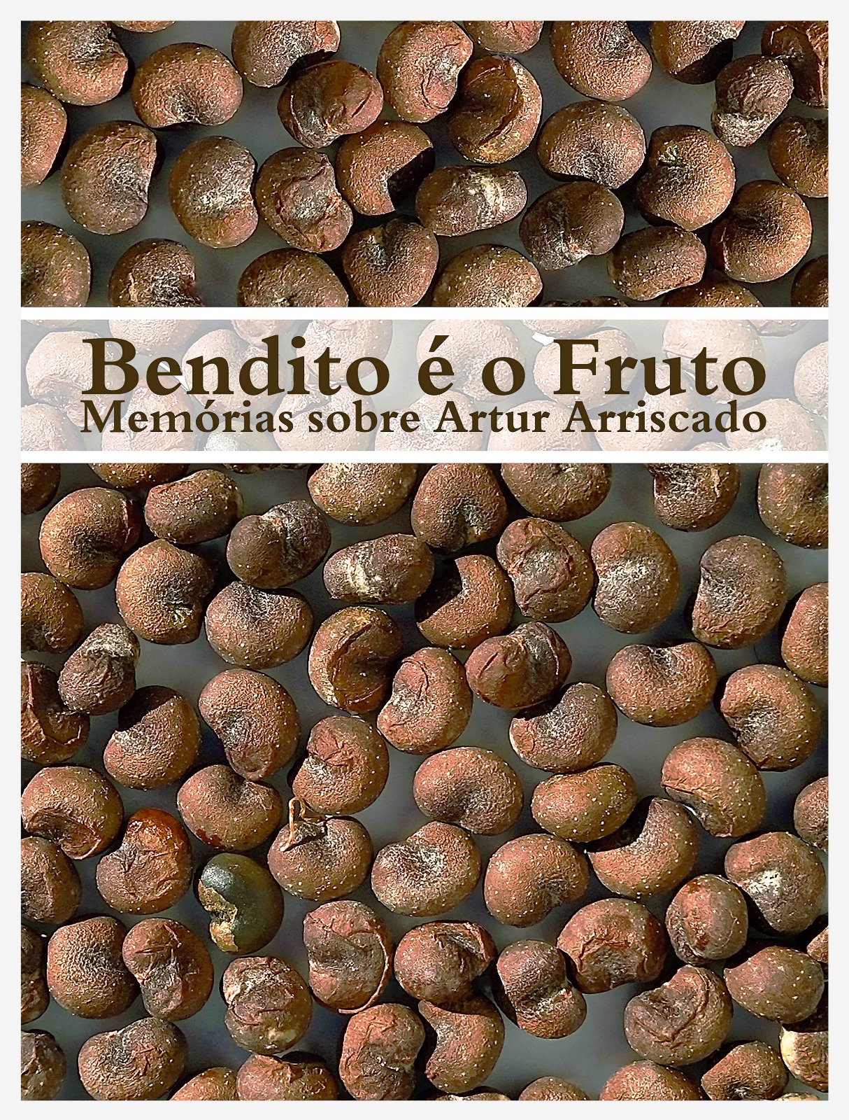 Bendito é o fruto 