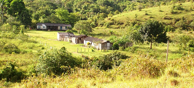 Fundação Palmares auxilia comunidades quilombolas em dúvida com a isenção do ITR