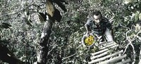 LANÇAMENTO: Livro resgata aspectos históricos e culturais de quilombos às margens da BR-101 na Bahia