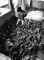 foto-scs-24.jpg