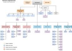 organograma_detalhado_FCP2022_versaoFinal2.jpeg