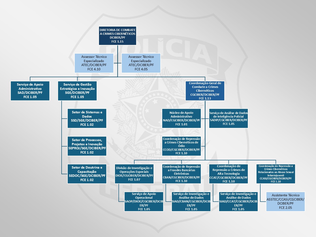 DCIBER - Diretoria de Combate a Crimes Cibernéticos