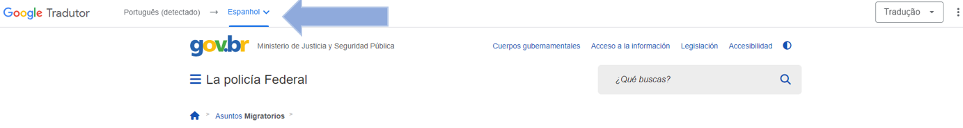 Idioma para tradução automática