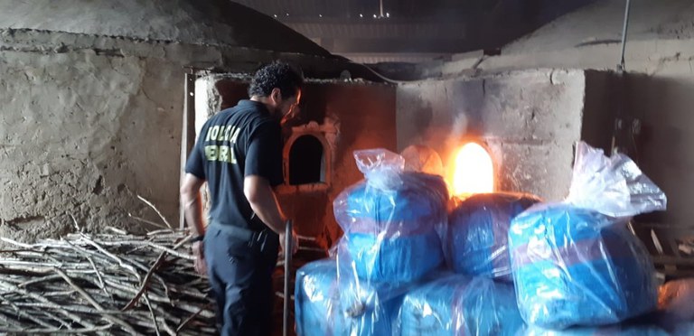 Incineração-março-2019 ceará 2.jpg