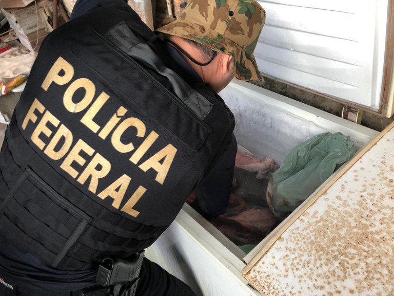 PF deflagra Operação Venatores contra caça ilegal 2.jpeg