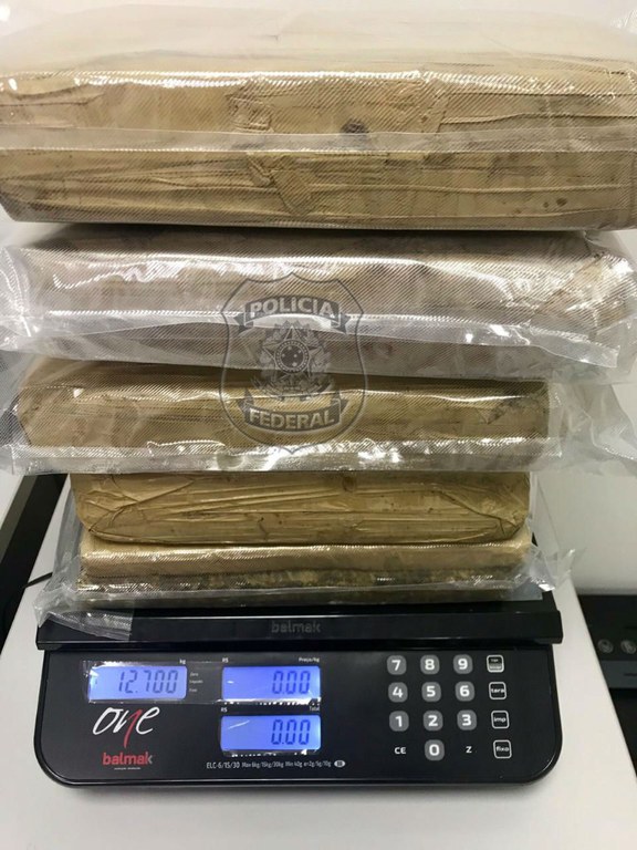 2019-08-13 _jovem 17 skunk.jpg