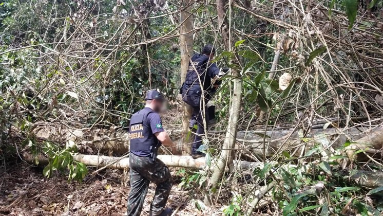 01092019_Terra Indigena ARARA.jpeg